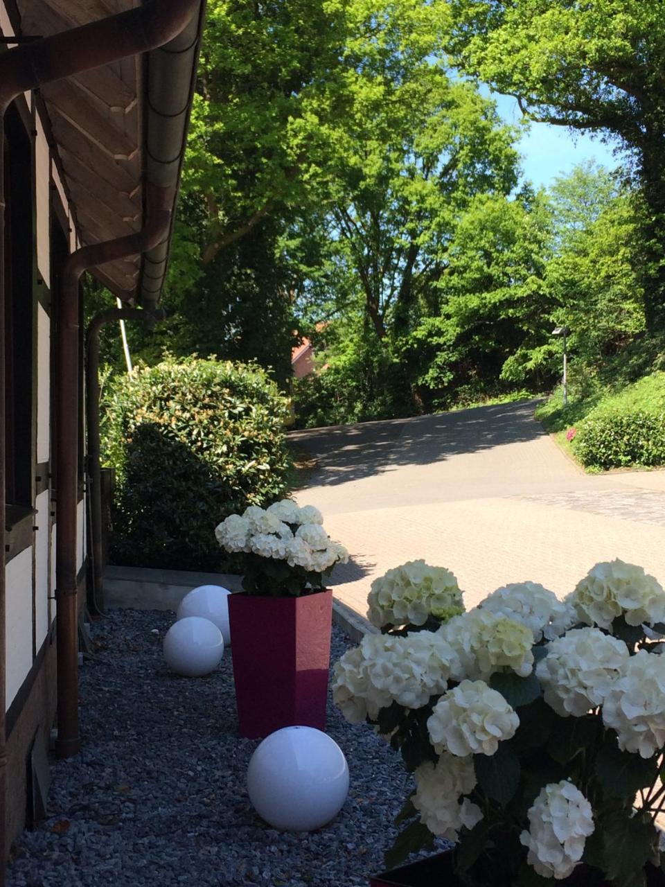 Hotel Niedersaechsischer Hof Bad Bentheim Exteriér fotografie